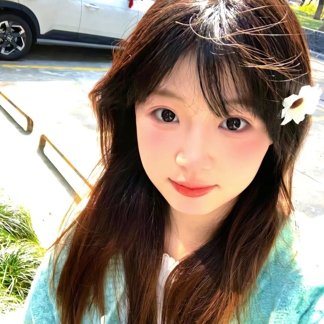 欧栗树